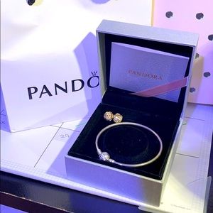 Pandora bracelet